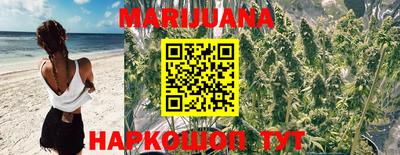 дживик Малгобек