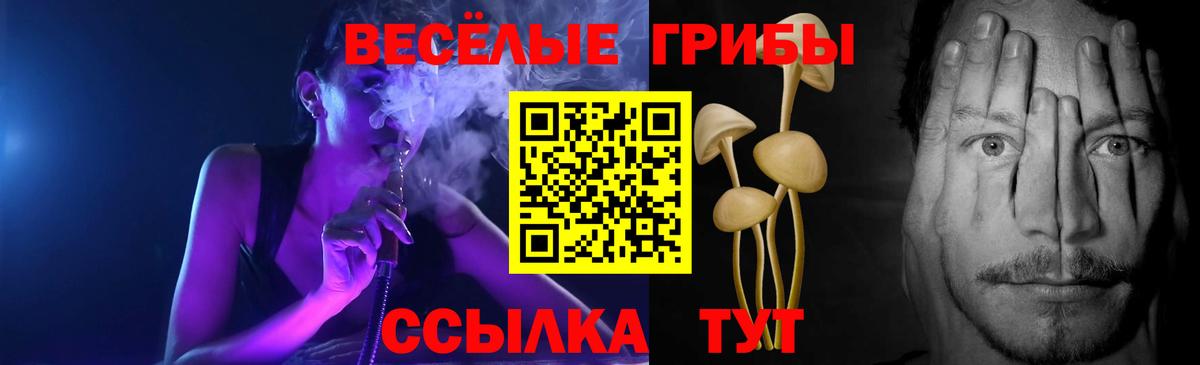 Псилоцибиновые грибы Cubensis  Вход с VPN  Светлоград 